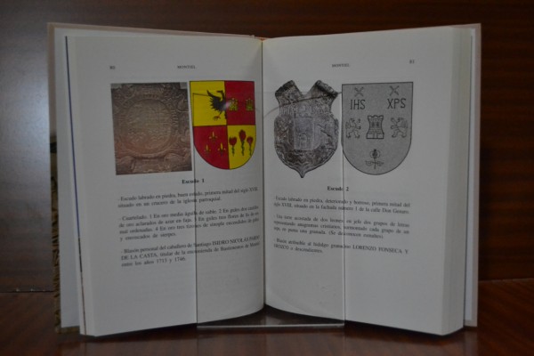 LINAJES Y BLASONES DEL CAMPO DE MONTIEL. Estudio heráldico de los escudos y genealogía de sus titulares